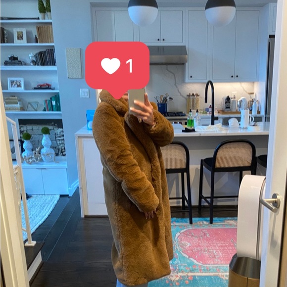 Appraisal Teddy Coat - Picture 3 of 4